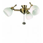 Fantasia 220268 Ceiling Fan Light - Florence 3 Light Cluster Antique Brass