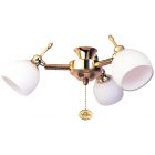Fantasia 220282 Ceiling Fan Light - Florence 3 Light Cluster Polished Brass