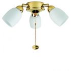 Fantasia 221487 Ceiling Fan Light - Amorie 3 Light Cluster Polished Brass