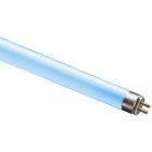 Osram FHE 35W/T5/67 35W 1463mm T5 Fluorescent Tube, Blue