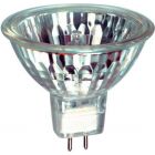 Philips 411907 20W 12V GU5.3 MR16 10° Closed Halogen Dichroic Light Bulb
