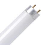 Category T8 26mm Ø Fluorescent Tubes image