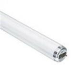 Category T12 38mm Ø Fluorescent Tubes image