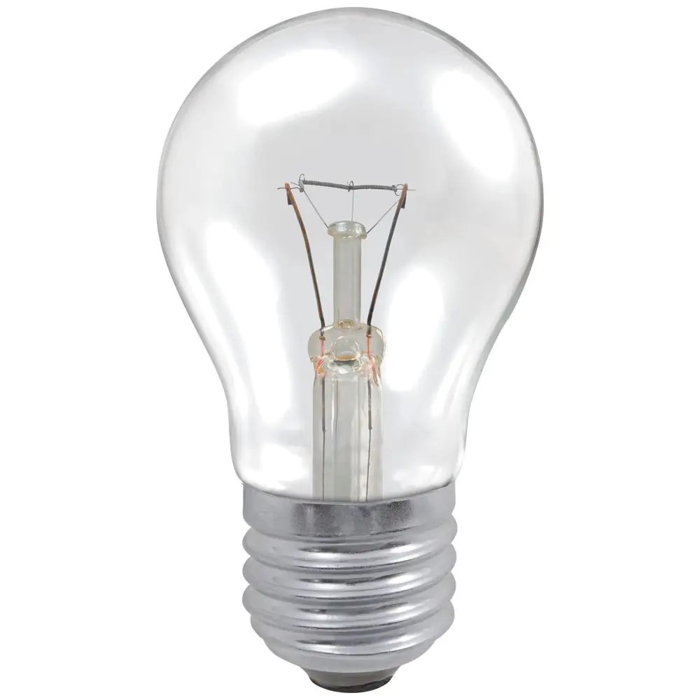 100W Light Bulbs